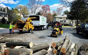 Brownsville, OR Tree Care Company